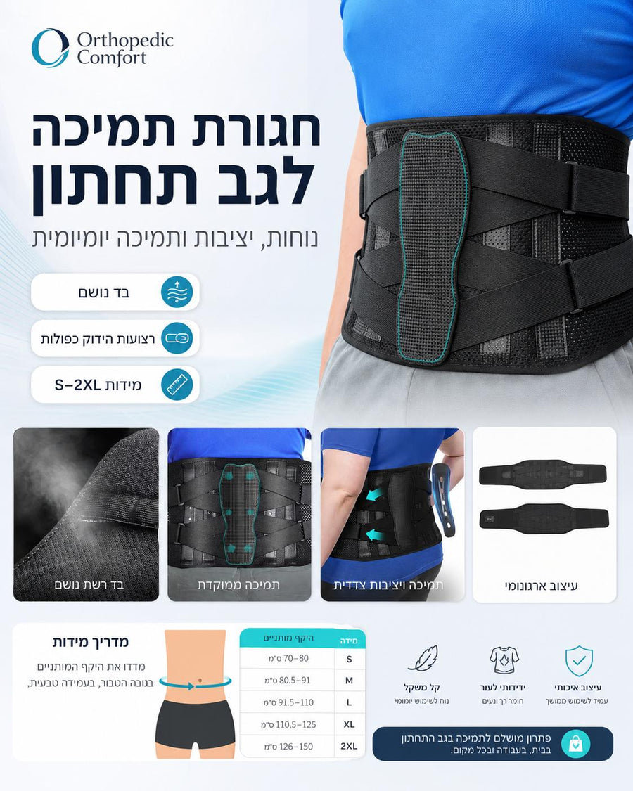 חגורות ומתקני תמיכה